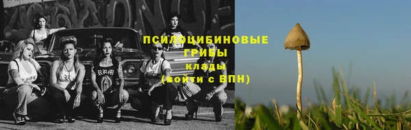 кокс Алексин