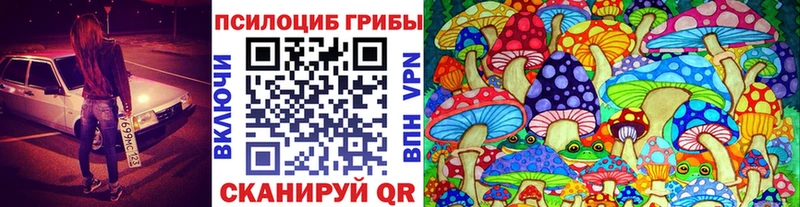 Псилоцибиновые грибы GOLDEN TEACHER Шатура