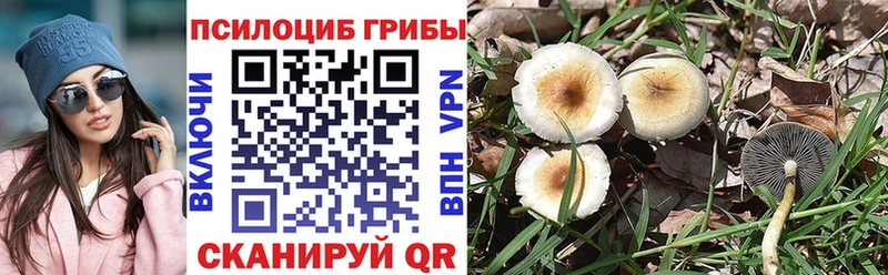 Галлюциногенные грибы прущие грибы  что такое   Шатура 