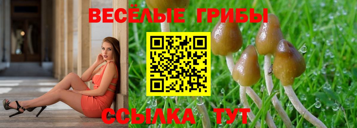 Шатура  Псилоцибиновые грибы MAGIC MUSHROOMS  Вход с VPN 
