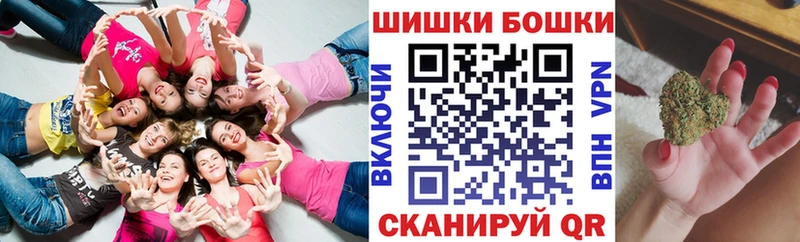 Конопля гибрид  Шатура 